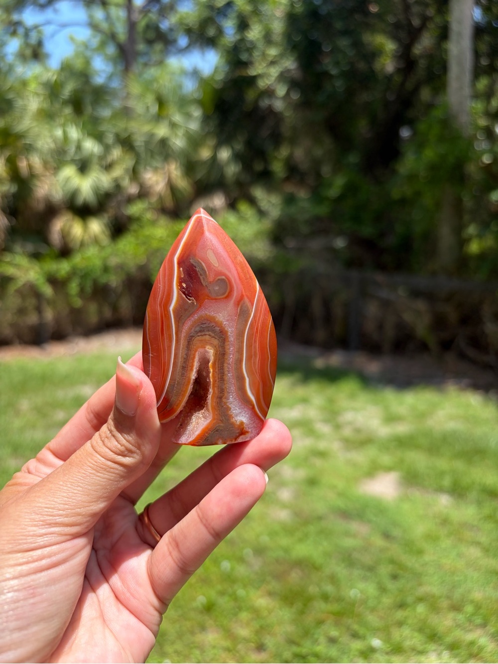 Red Seradonix Flame